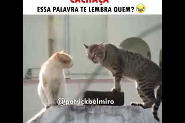 Что такое кракен тор