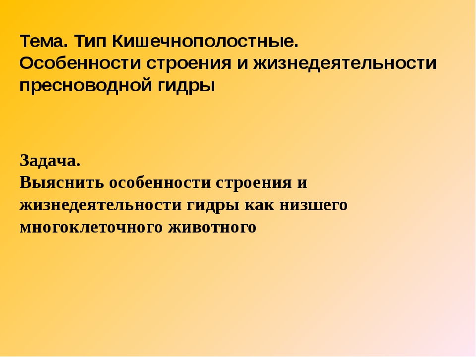 Кракен маркет что это такое